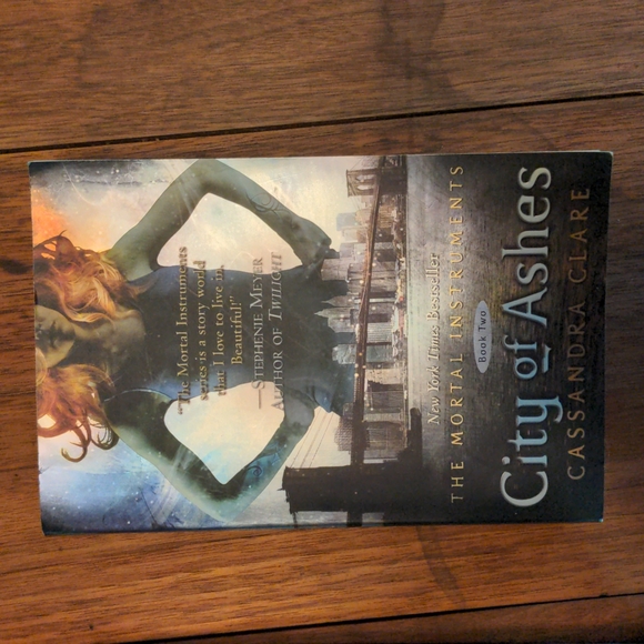 The Mortal Instruments Books 1,2 &3 - Picture 3 of 13